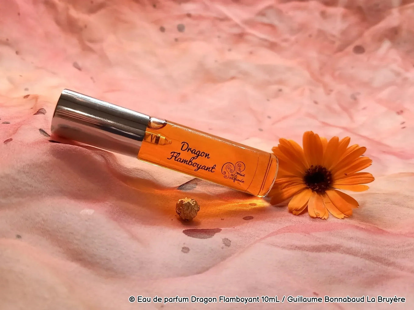 Eau de parfum Dragon Flamboyant - E-POP CARE