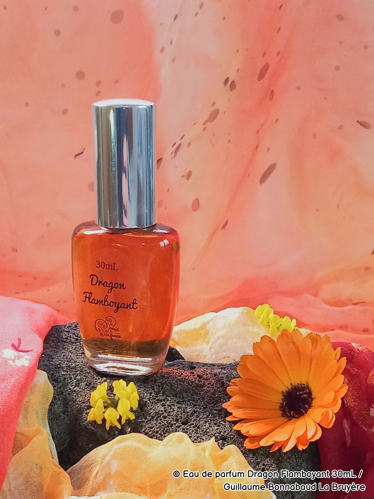 Eau de parfum Dragon Flamboyant - E-POP CARE