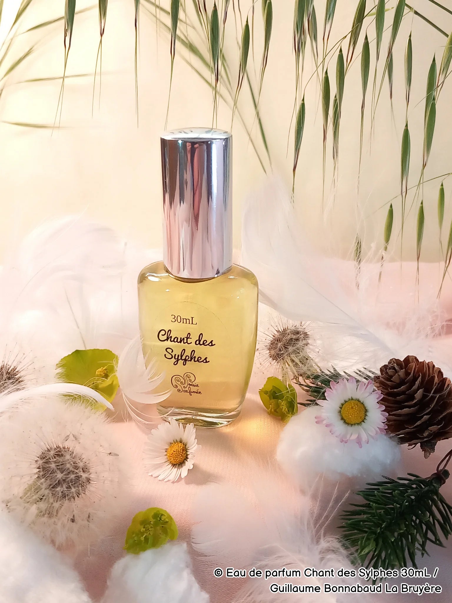 Eau de parfum Chant des Sylphes - E-POP CARE