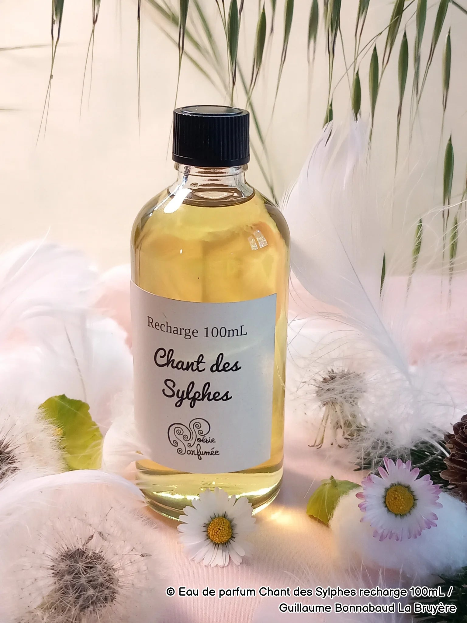 Eau de parfum Chant des Sylphes - E-POP CARE