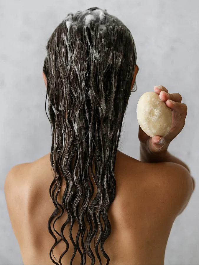Shampoing solide pour cheveux secs et bouclés | Sans sulfate | ZEFIR