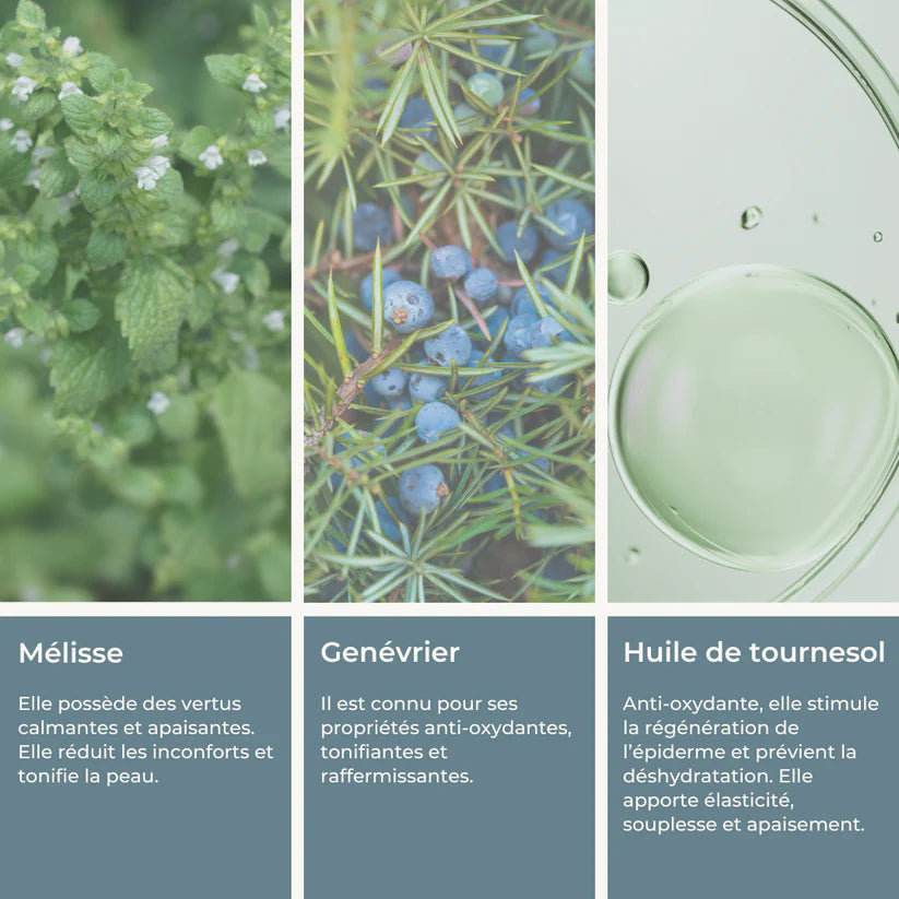 Crème Corps Hydratante Douceur Des Alpes