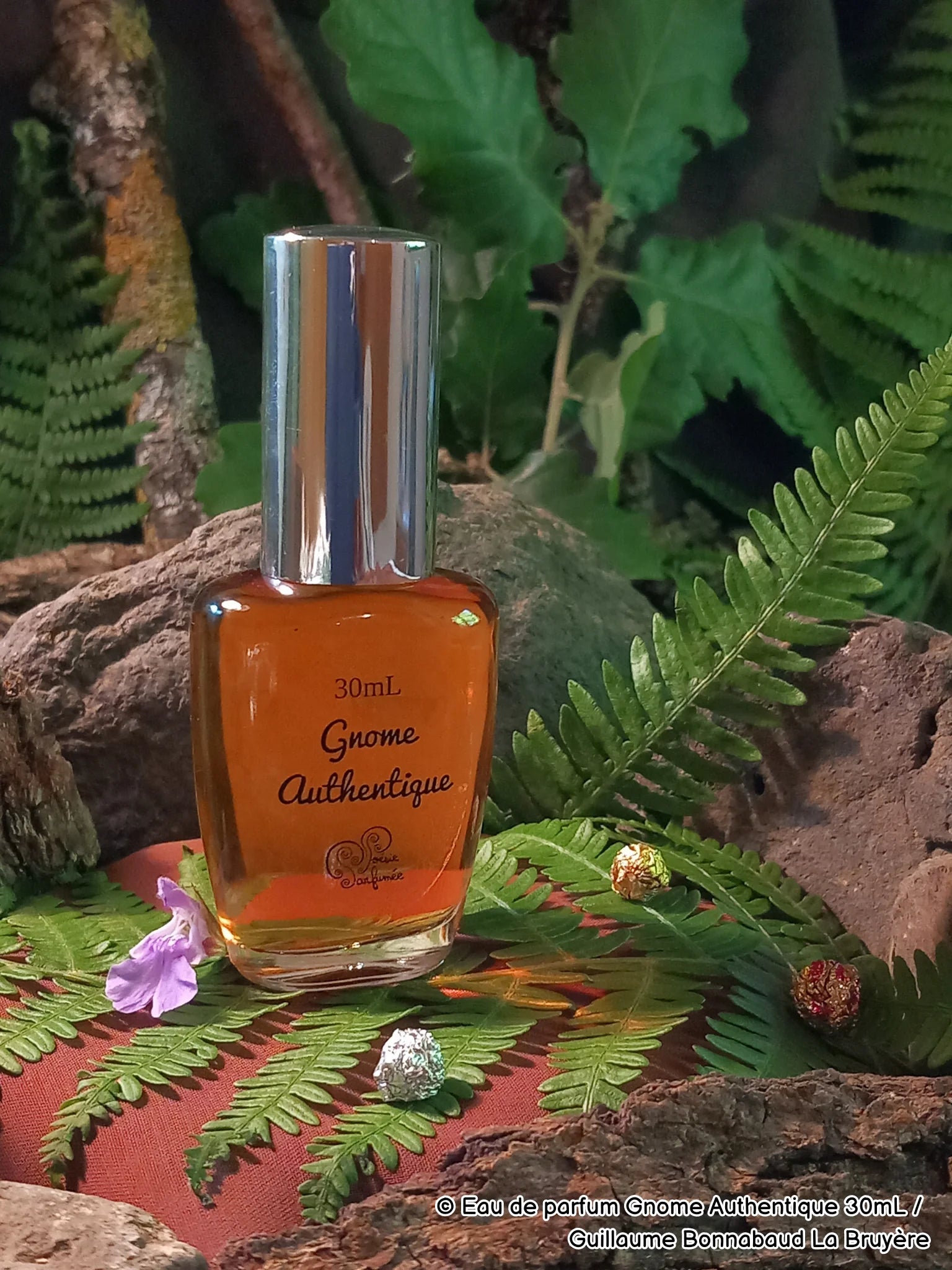 Eau de parfum Gnome Authentique - E-POP CARE