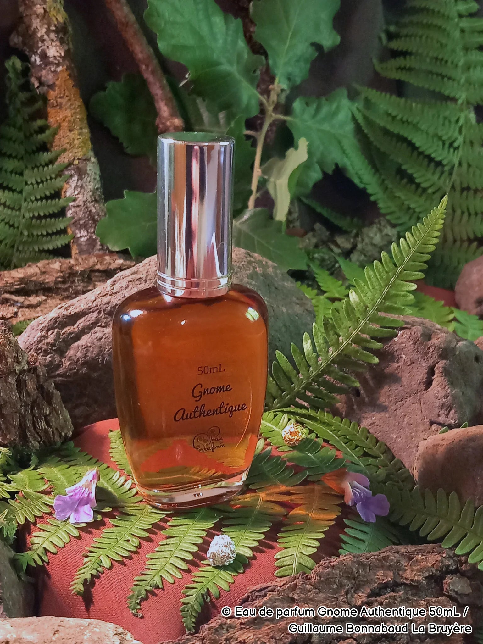 Eau de parfum Gnome Authentique - E-POP CARE