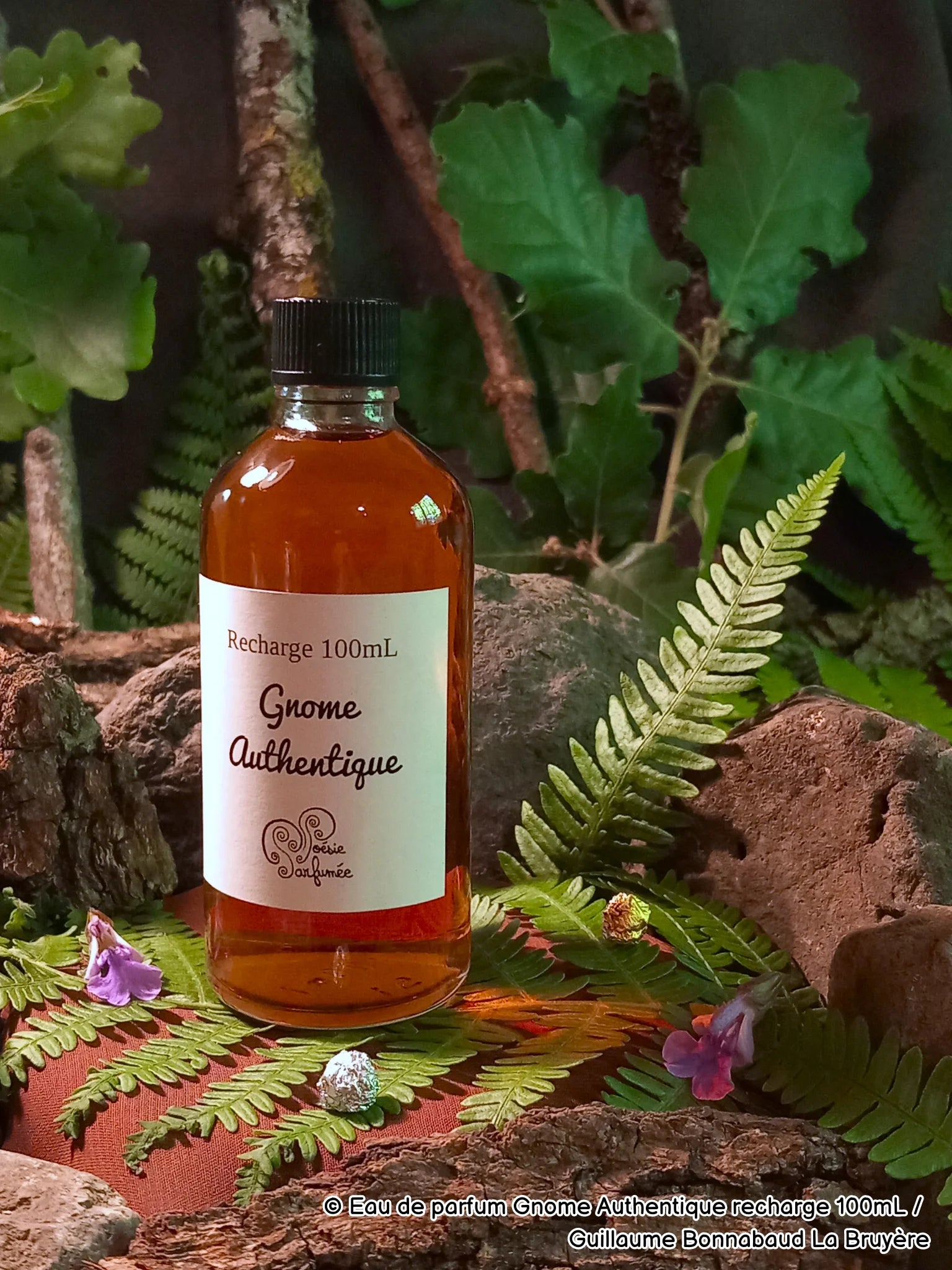 Eau de parfum Gnome Authentique - E-POP CARE